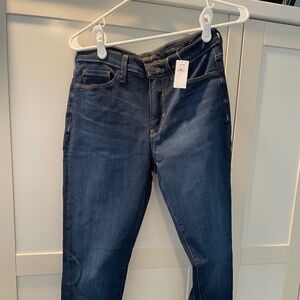 NWT Banana Republic Mid-Rise Skinny Jean 28